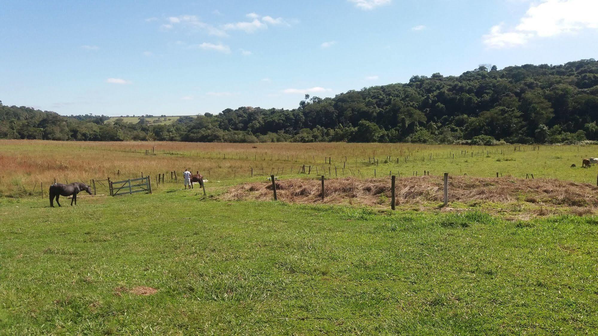 Hotel Fazenda Recanto Do Monte Alegre Piraju Ngoại thất bức ảnh